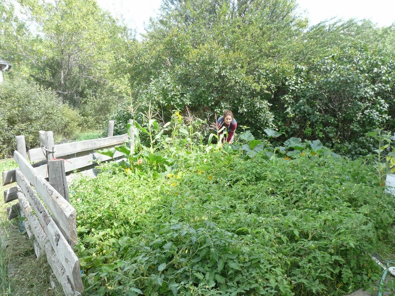 Lina_in_Garden__800x600.jpg